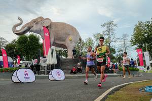 BIB: 
                            <button type="button" onclick="openModal(26528762)" class="btn btn-primary btn-sm float-right btn-popup" data-toggle="modal" data-target=".modal-high-quality">
                        <i class="fas fa-shopping-cart"></i> Add to Cart
                    </button>
                                            <button type="button" onclick="isThisMe(26528762, true)" class="btn btn-success btn-sm float-right btn-popup btn-isme hidden" data-toggle="tooltip" data-placement="bottom" title="นี่คือรูปของคุณใช่ไหม คลิกที่นี่เพื่อเอาเข้าอัลบั้ม">
                        <i class="fas fa-plus"></i> Add to album
                    </button>
                    <button type="button" onclick="isThisMe(26528762, false)" class="btn btn-warning btn-sm float-right btn-popup btn-isnotme hidden">
                        <i class="fas fa-ban"></i> Remove from album
                    </button>